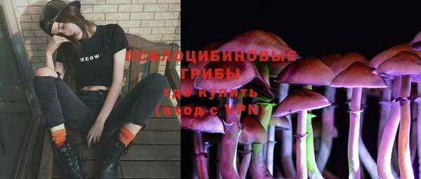 apvp Алзамай