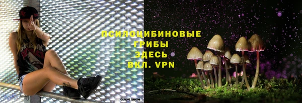 apvp Алексин