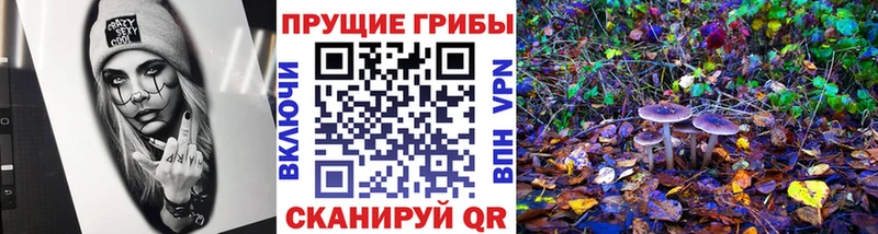 Псилоцибиновые грибы MAGIC MUSHROOMS  OMG tor  Звенигово 